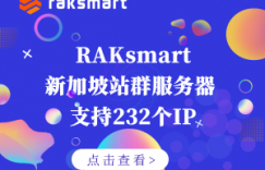 RAKsmart新加坡站群服务器上新