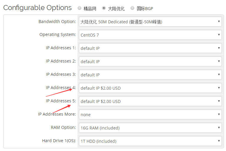 RAKsmart站群服务器IP
