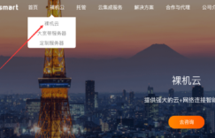 RAKsmart官网页面