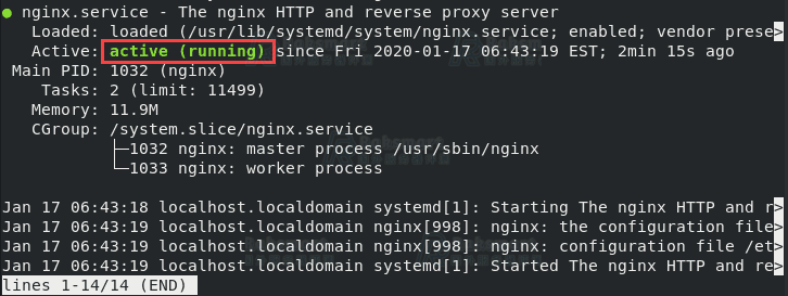 CentOS8系统安装Nginx