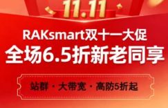 RAKsmart双十一大促