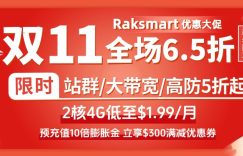 raksmart双11促销