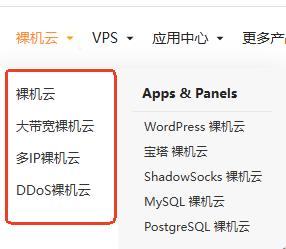 RAKsmart裸机云服务器
