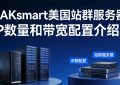 raksmart美国站群服务器
