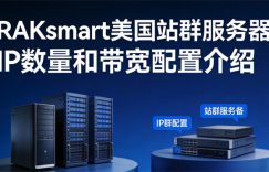 raksmart美国站群服务器