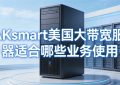 RAKsmart美国大带宽服务器适合哪些业务使用