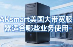 RAKsmart美国大带宽服务器适合哪些业务使用