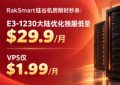RakSmart