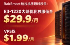 RakSmart