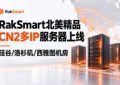 RakSmart